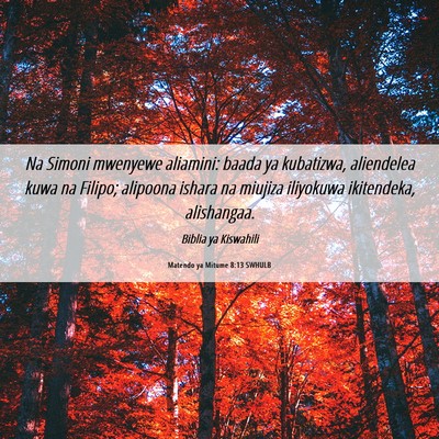 Picture 06 - Matendo ya Mitume 8:13 SWHULB - Na Simoni mwenyewe aliamini: baada ya kubatizwa, - Bible Verse Picture