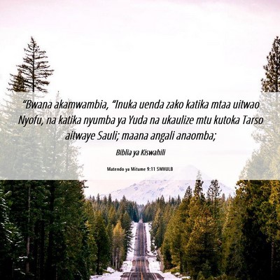 Picture 06 - Matendo ya Mitume 9:11 SWHULB - “Bwana akamwambia, “Inuka uenda zako katika - Bible Verse Picture