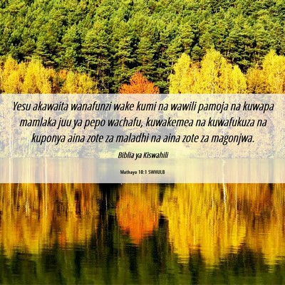 Picture 06 - Mathayo 10:1 SWHULB - Yesu akawaita wanafunzi wake kumi na wawili - Bible Verse Picture