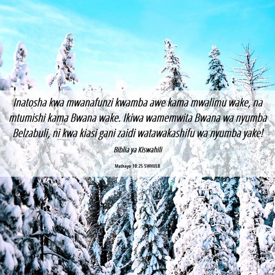 Picture 06 - Mathayo 10:25 SWHULB - Inatosha kwa mwanafunzi kwamba awe kama mwalimu - Bible Verse Picture