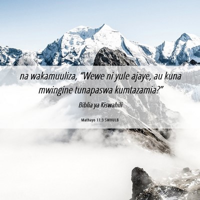 Picture 06 - Mathayo 11:3 SWHULB - na wakamuuliza, “Wewe ni yule ajaye, au kuna - Bible Verse Picture
