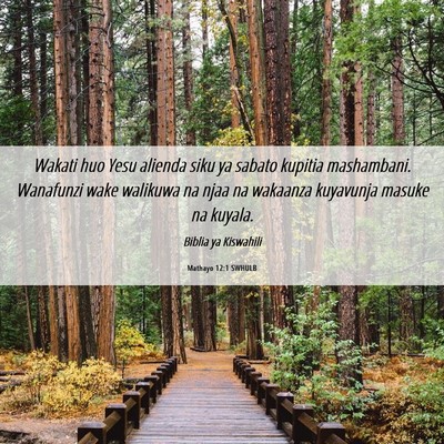 Picture 06 - Mathayo 12:1 SWHULB - Wakati huo Yesu alienda siku ya sabato kupitia - Bible Verse Picture