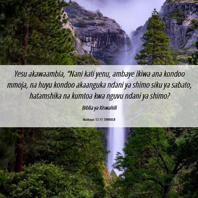 Picture 06 - Mathayo 12:11 SWHULB - Yesu akawaambia, “Nani kati yenu, ambaye ikiwa - Bible Verse Picture