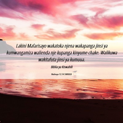 Picture 06 - Mathayo 12:14 SWHULB - Lakini Mafarisayo wakatoka njena wakapanga jinsi - Bible Verse Picture
