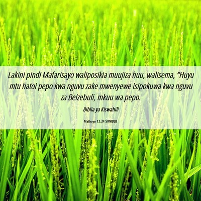 Picture 06 - Mathayo 12:24 SWHULB - Lakini pindi Mafarisayo waliposikia muujiza huu, - Bible Verse Picture