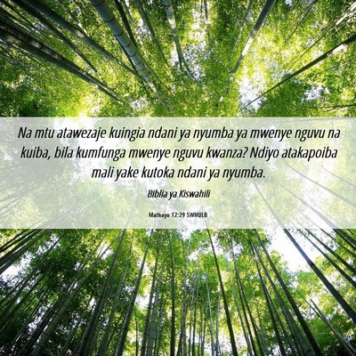 Picture 06 - Mathayo 12:29 SWHULB - Na mtu atawezaje kuingia ndani ya nyumba ya - Bible Verse Picture