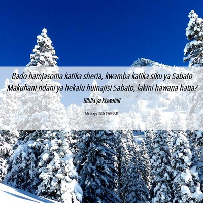 Picture 06 - Mathayo 12:5 SWHULB - Bado hamjasoma katika sheria, kwamba katika siku - Bible Verse Picture
