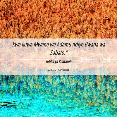 Picture 06 - Mathayo 12:8 SWHULB - Kwa kuwa Mwana wa Adamu ndiye Bwana wa - Bible Verse Picture