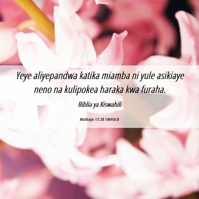 Picture 06 - Mathayo 13:20 SWHULB - Yeye aliyepandwa katika miamba ni yule asikiaye - Bible Verse Picture