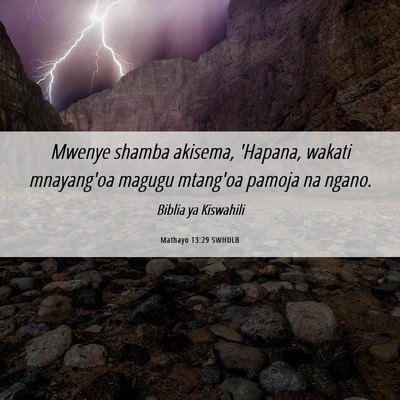 Picture 06 - Mathayo 13:29 SWHULB - Mwenye shamba akisema, 'Hapana, wakati mnayang'oa - Bible Verse Picture