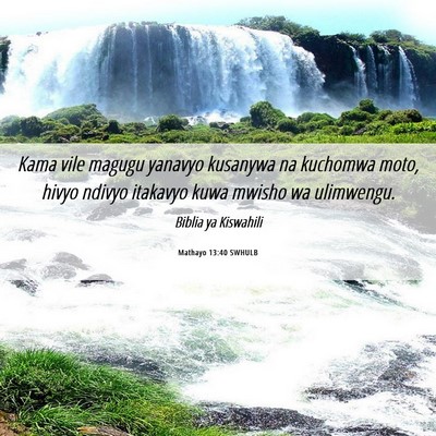 Picture 06 - Mathayo 13:40 SWHULB - Kama vile magugu yanavyo kusanywa na kuchomwa - Bible Verse Picture