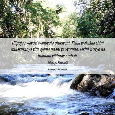 Picture 06 - Mathayo 13:48 SWHULB - Ulipojaa wavuvi waliuvuta ufukweni. Kisha wakakaa - Bible Verse Picture
