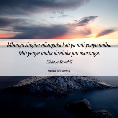 Picture 06 - Mathayo 13:7 SWHULB - Mbengu zingine zilianguka kati ya miti yenye - Bible Verse Picture