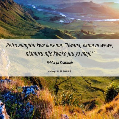 Picture 06 - Mathayo 14:28 SWHULB - Petro alimjibu kwa kusema, “Bwana, kama ni - Bible Verse Picture