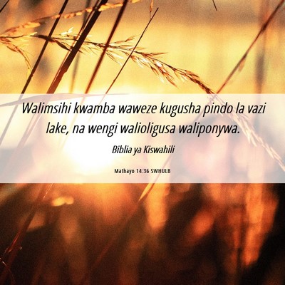 Picture 06 - Mathayo 14:36 SWHULB - Walimsihi kwamba waweze kugusha pindo la vazi - Bible Verse Picture