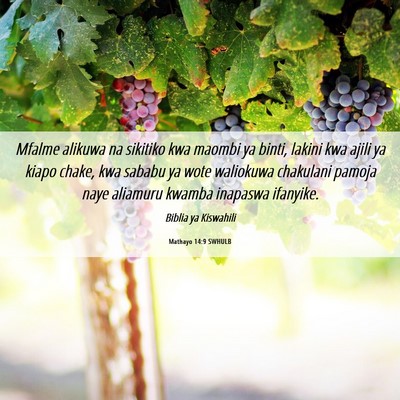Picture 06 - Mathayo 14:9 SWHULB - Mfalme alikuwa na sikitiko kwa maombi ya binti, - Bible Verse Picture