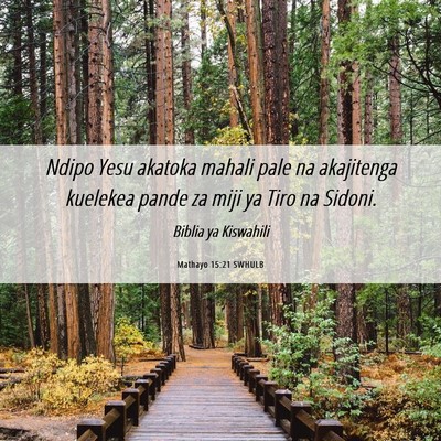 Picture 06 - Mathayo 15:21 SWHULB - Ndipo Yesu akatoka mahali pale na akajitenga - Bible Verse Picture