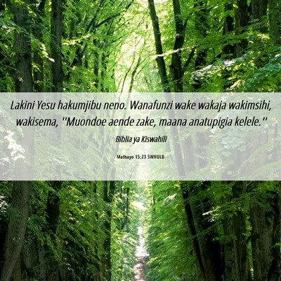 Picture 06 - Mathayo 15:23 SWHULB - Lakini Yesu hakumjibu neno. Wanafunzi wake wakaja - Bible Verse Picture