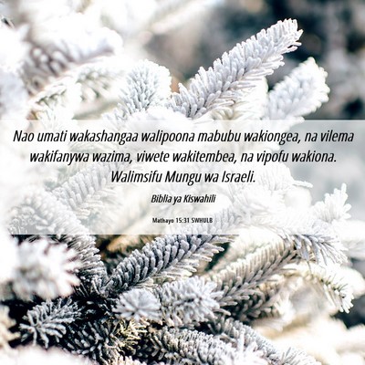 Picture 06 - Mathayo 15:31 SWHULB - Nao umati wakashangaa walipoona mabubu wakiongea, - Bible Verse Picture