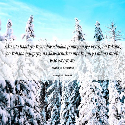 Picture 06 - Mathayo 17:1 SWHULB - Siku sita baadaye Yesu aliwachukua pamoja naye - Bible Verse Picture