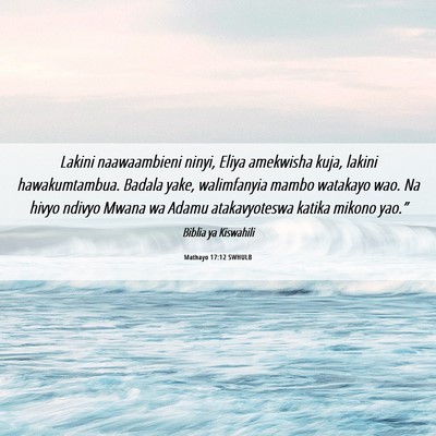 Picture 06 - Mathayo 17:12 SWHULB - Lakini naawaambieni ninyi, Eliya amekwisha kuja, - Bible Verse Picture