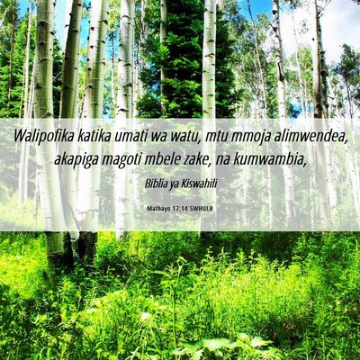 Picture 06 - Mathayo 17:14 SWHULB - Walipofika katika umati wa watu, mtu mmoja - Bible Verse Picture