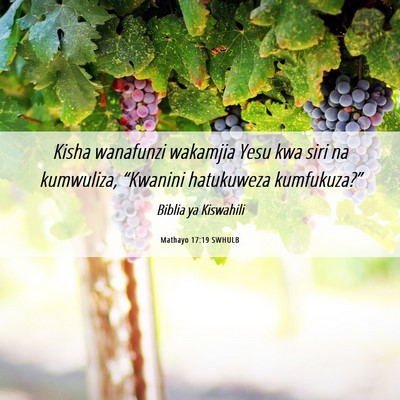 Picture 06 - Mathayo 17:19 SWHULB - Kisha wanafunzi wakamjia Yesu kwa siri na - Bible Verse Picture