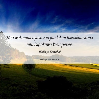 Picture 06 - Mathayo 17:8 SWHULB - Nao wakainua nyuso zao juu lakini hawakumwona mtu - Bible Verse Picture