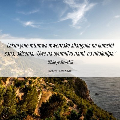 Picture 06 - Mathayo 18:29 SWHULB - Lakini yule mtumwa mwenzake alianguka na kumsihi - Bible Verse Picture