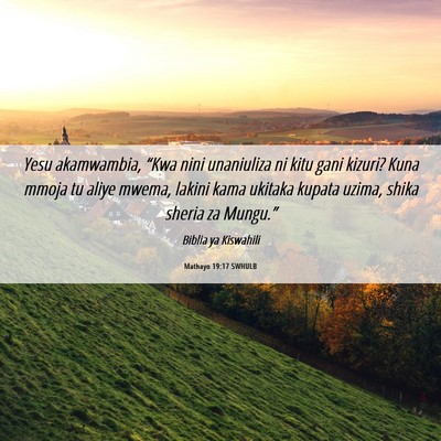 Picture 06 - Mathayo 19:17 SWHULB - Yesu akamwambia, “Kwa nini unaniuliza ni kitu - Bible Verse Picture