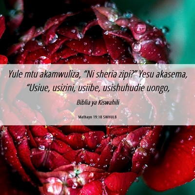 Picture 06 - Mathayo 19:18 SWHULB - Yule mtu akamwuliza, “Ni sheria zipi?” Yesu - Bible Verse Picture