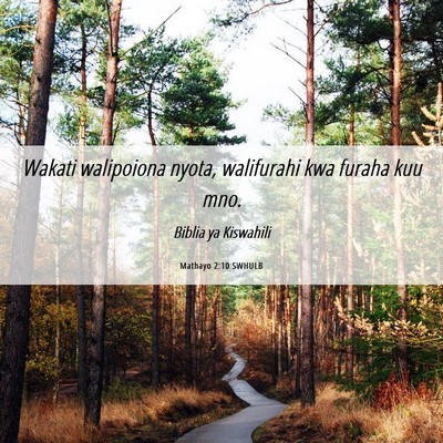 Picture 06 - Mathayo 2:10 SWHULB - Wakati walipoiona nyota, walifurahi kwa furaha - Bible Verse Picture