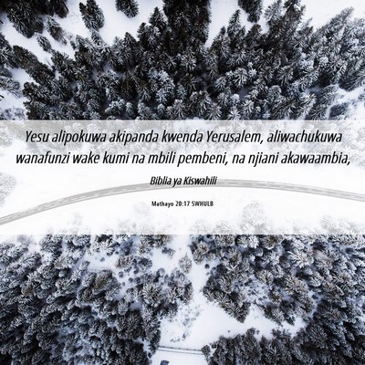 Picture 06 - Mathayo 20:17 SWHULB - Yesu alipokuwa akipanda kwenda Yerusalem, - Bible Verse Picture