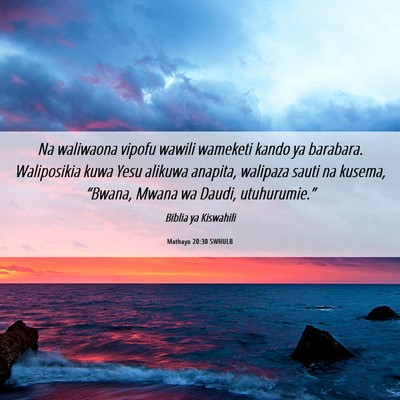 Picture 06 - Mathayo 20:30 SWHULB - Na waliwaona vipofu wawili wameketi kando ya - Bible Verse Picture
