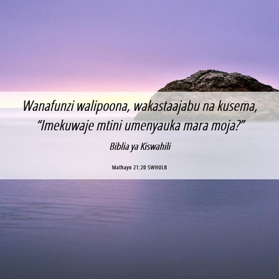 Picture 06 - Mathayo 21:20 SWHULB - Wanafunzi walipoona, wakastaajabu na kusema, - Bible Verse Picture