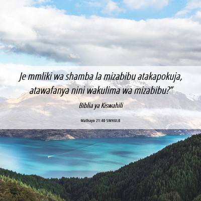 Picture 06 - Mathayo 21:40 SWHULB - Je mmliki wa shamba la mizabibu atakapokuja, - Bible Verse Picture
