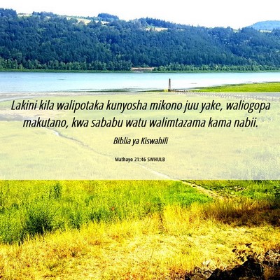 Picture 06 - Mathayo 21:46 SWHULB - Lakini kila walipotaka kunyosha mikono juu yake, - Bible Verse Picture