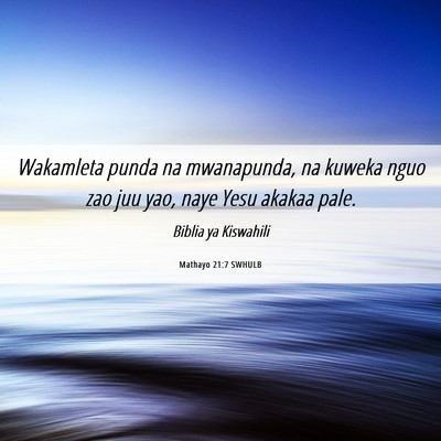 Picture 06 - Mathayo 21:7 SWHULB - Wakamleta punda na mwanapunda, na kuweka nguo zao - Bible Verse Picture