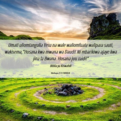 Picture 06 - Mathayo 21:9 SWHULB - Umati uliomtangulia Yesu na wale waliomfuata - Bible Verse Picture