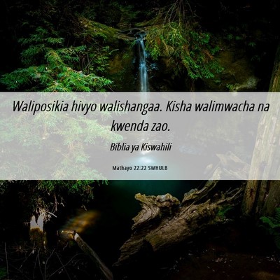 Picture 06 - Mathayo 22:22 SWHULB - Waliposikia hivyo walishangaa. Kisha walimwacha - Bible Verse Picture