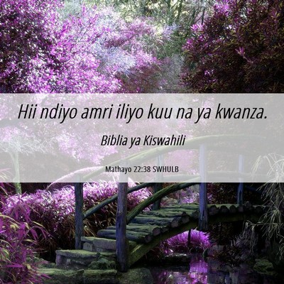 Picture 06 - Mathayo 22:38 SWHULB - Hii ndiyo amri iliyo kuu na ya - Bible Verse Picture