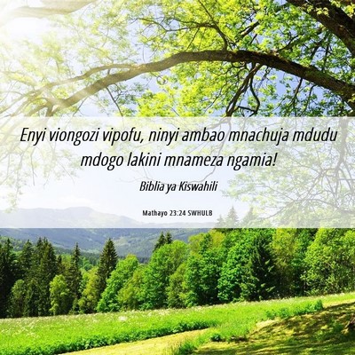 Picture 06 - Mathayo 23:24 SWHULB - Enyi viongozi vipofu, ninyi ambao mnachuja mdudu - Bible Verse Picture