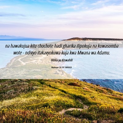 Picture 06 - Mathayo 24:39 SWHULB - na hawakujua kitu chochote hadi gharika ilipokuja - Bible Verse Picture