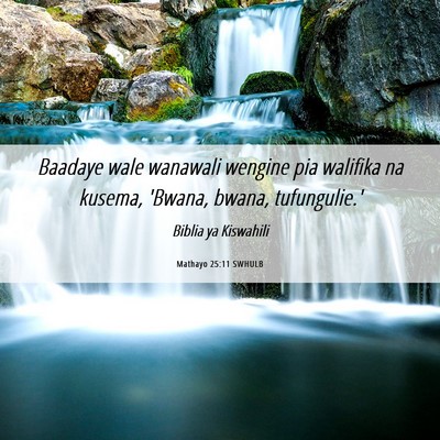Picture 06 - Mathayo 25:11 SWHULB - Baadaye wale wanawali wengine pia walifika na - Bible Verse Picture