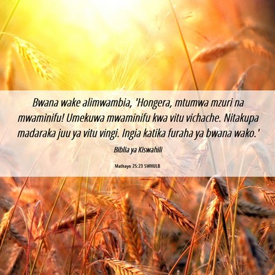 Picture 06 - Mathayo 25:23 SWHULB - Bwana wake alimwambia, 'Hongera, mtumwa mzuri na - Bible Verse Picture