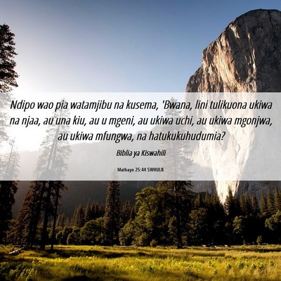 Picture 06 - Mathayo 25:44 SWHULB - Ndipo wao pia watamjibu na kusema, 'Bwana, lini - Bible Verse Picture