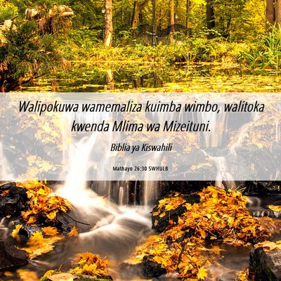 Picture 06 - Mathayo 26:30 SWHULB - Walipokuwa wamemaliza kuimba wimbo, walitoka - Bible Verse Picture