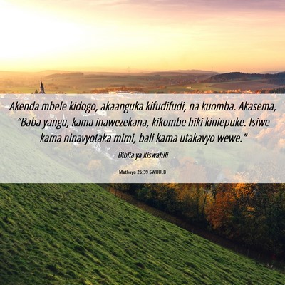 Picture 06 - Mathayo 26:39 SWHULB - Akenda mbele kidogo, akaanguka kifudifudi, na - Bible Verse Picture