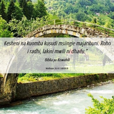 Picture 06 - Mathayo 26:41 SWHULB - Kesheni na kuomba kusudi msiingie majaribuni. - Bible Verse Picture