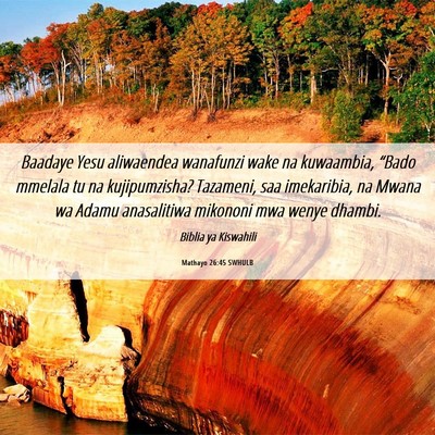 Picture 06 - Mathayo 26:45 SWHULB - Baadaye Yesu aliwaendea wanafunzi wake na - Bible Verse Picture